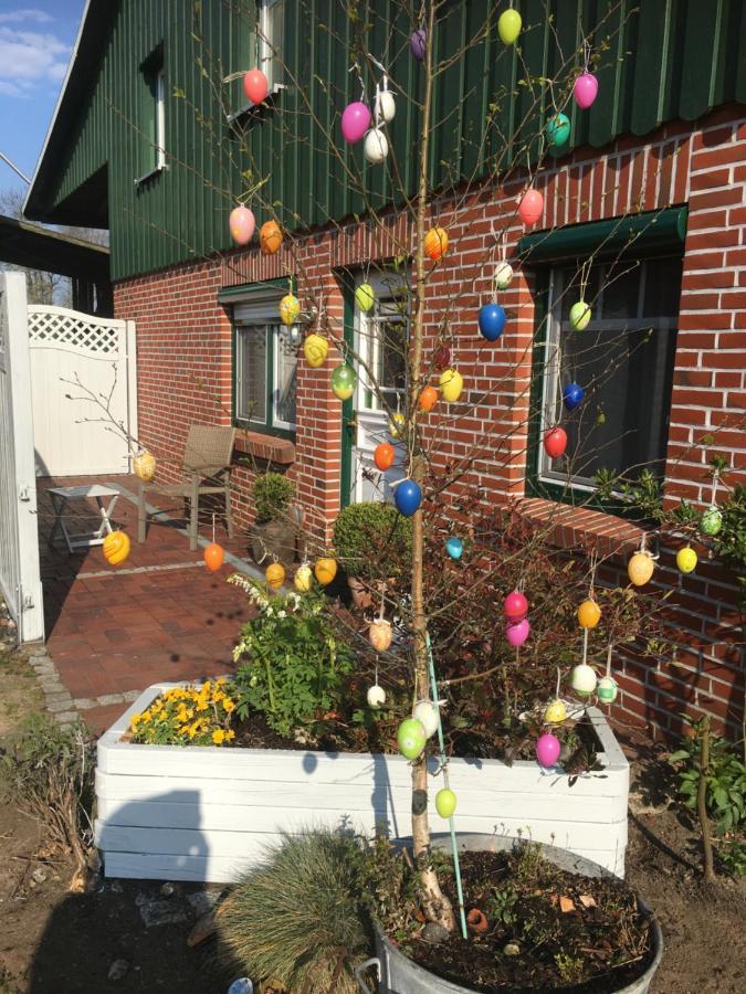 Ferienhaus Staben Eggstedt Luaran gambar