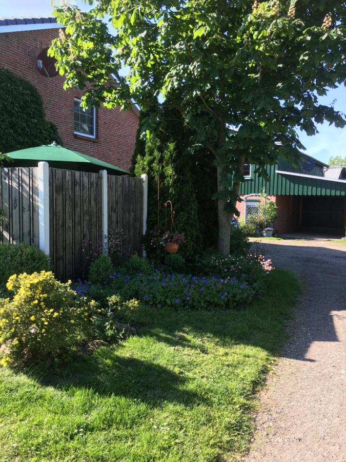 Ferienhaus Staben Eggstedt Luaran gambar